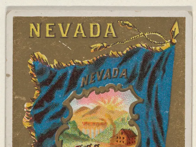 The image shows a poster with a Nevada flag in the center, surrounded by text, houses, and other...