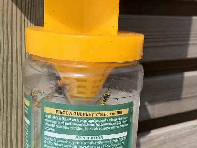 The image shows a plastic bottle with a yellow cap attached to a wooden fence, containing a jar of...