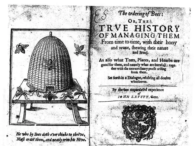 The image shows an old book with a drawing of a beehive on it, surrounded by a few insects. The...