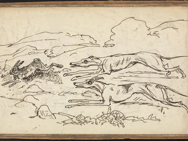 The image shows an open book with a drawing of two greyhounds running in a field, surrounded by...