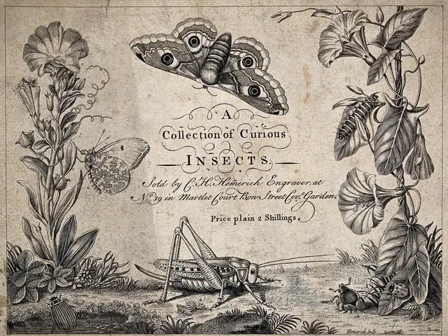 The image shows a collection of curious insects, including a butterfly, grasshopper, and other...