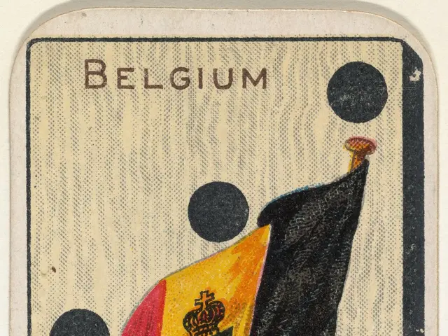 The image shows a Belgium playing card with a flag on it. The card has text and a logo on it, and...
