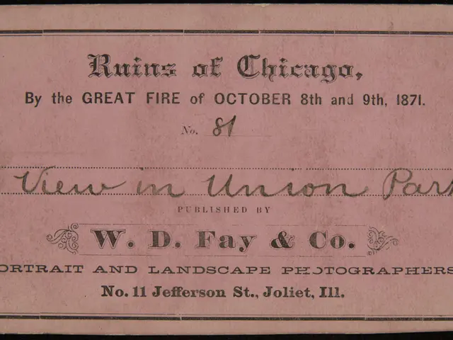 The image shows an old business card with the words "Ruins of Chicago, by the Great Fire of October...