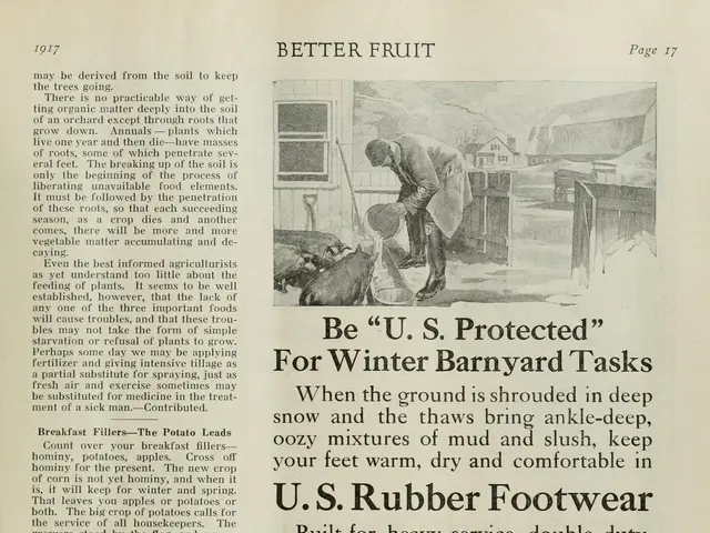 The image shows an old advertisement for U.S. Rubber Footwear featuring a man wearing footwear. The...
