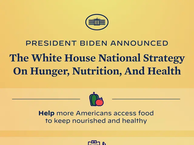 The image shows a poster with the text "President Biden Announces the White House National Strategy...