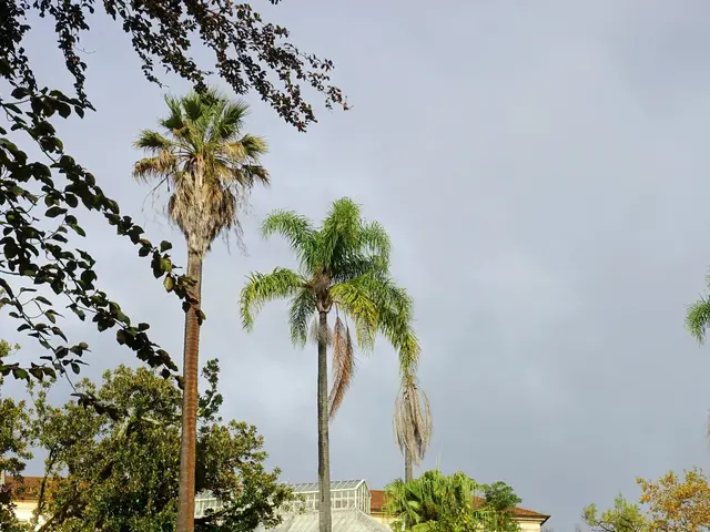 The image shows a lush green park with trees, plants, grass, and shredded leaves on the ground. In...