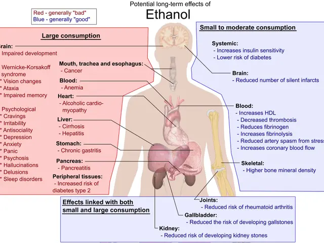 The image shows a diagram of the human body with the words "Ethanol" written on it, highlighting...