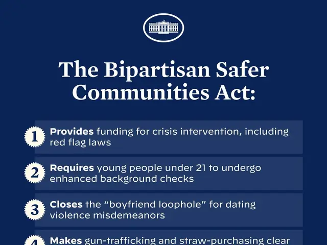 The image shows a poster with the text "The Bipartisan Safer Communities Act" written in bold,...