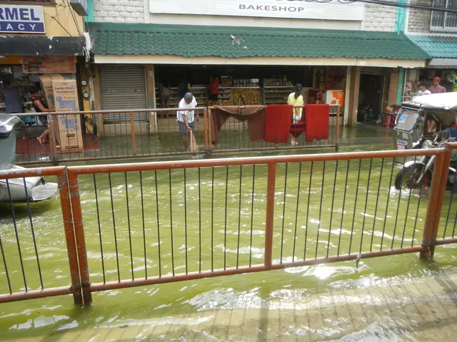 The image shows a flooded street with a metal fence in the middle of it. There are vehicles on the...