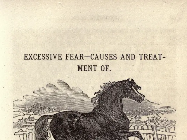 The image shows an old book with a drawing of a horse on it. The horse is depicted in a galloping...