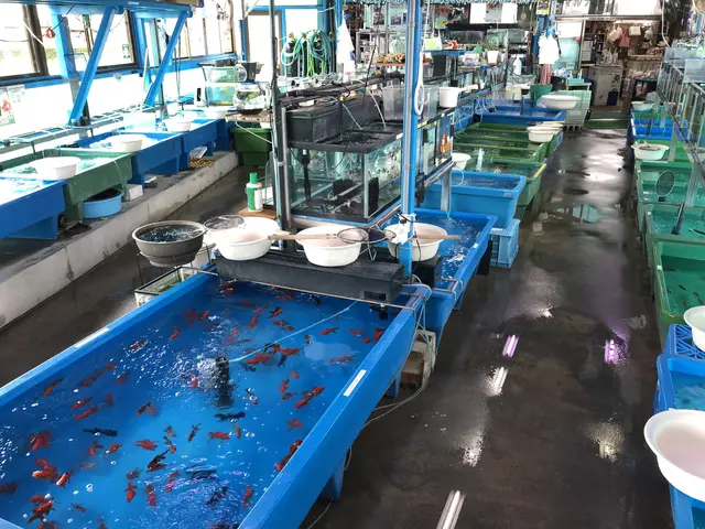 The image shows a large fish market filled with lots of different types of fish, including...