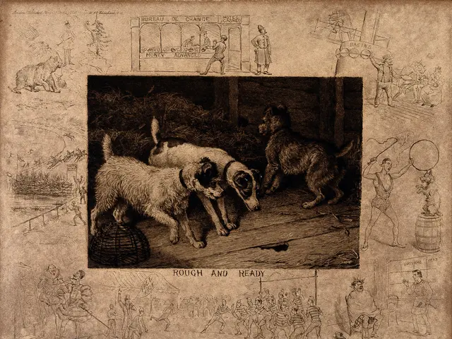 The image shows a photo frame with a drawing of two dogs playing with each other. The frame is...