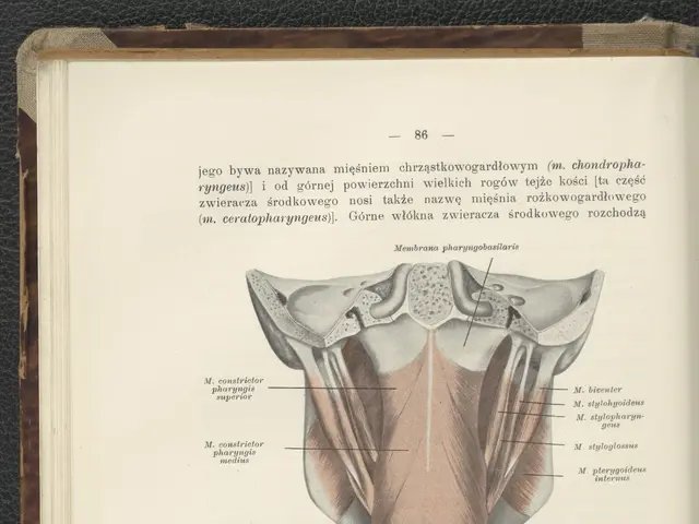 The image shows an open book with a diagram of the female reproductive system on it. The diagram is...