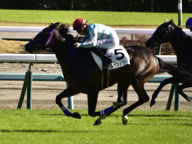 The image shows two jockeys on horses racing down a track, with a fence in the background and trees...