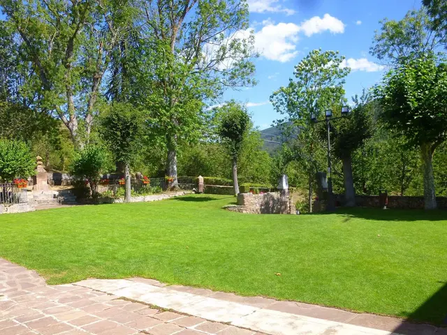 The image shows a large grassy area with a brick walkway in the middle of it, surrounded by trees,...