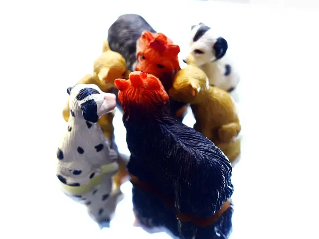 In the image we can see there are many toys of different colors and sizes.