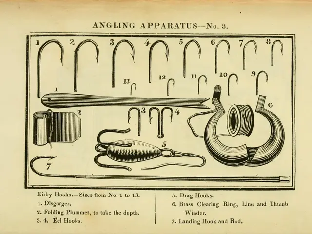 The image shows an old book with a drawing of various types of fishing hooks on it. The paper has...