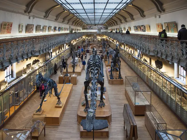 The image shows a large room filled with lots of skeletons on display, with people standing on the...