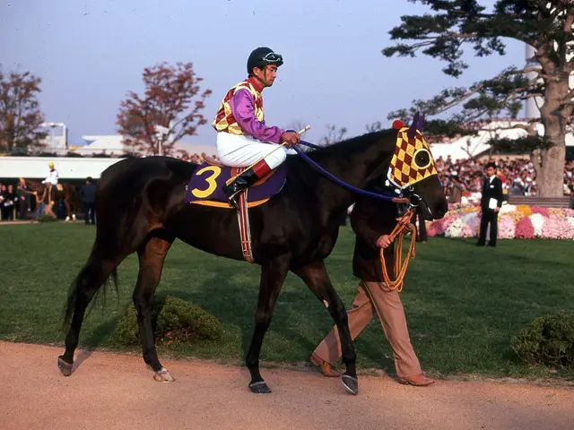 The image shows a jockey riding on the back of a brown horse, wearing a helmet and goggles, with a...