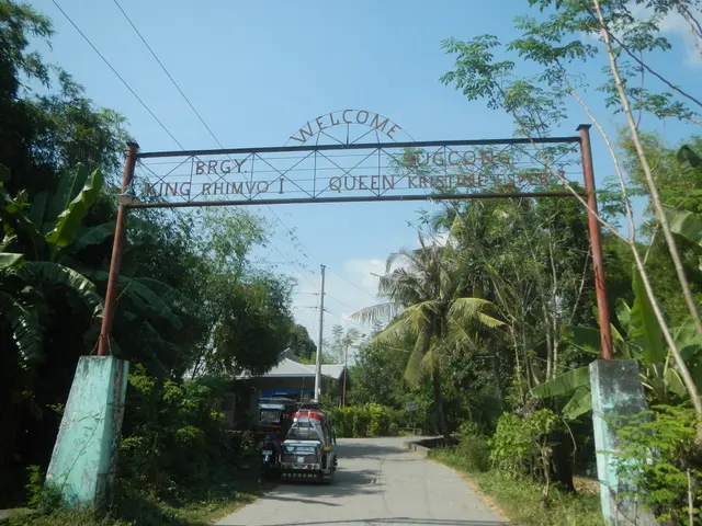 The image shows an arch with text on it, vehicles on the road, trees, plants, grass, poles, wires,...