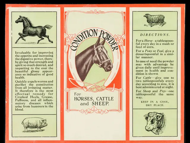 The image shows an advertisement for condition powder for horses, cattle and sheep, featuring...