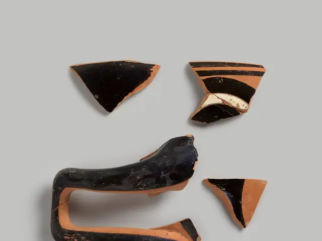 The image shows a group of black and brown pieces of pottery on a white surface. The pottery...