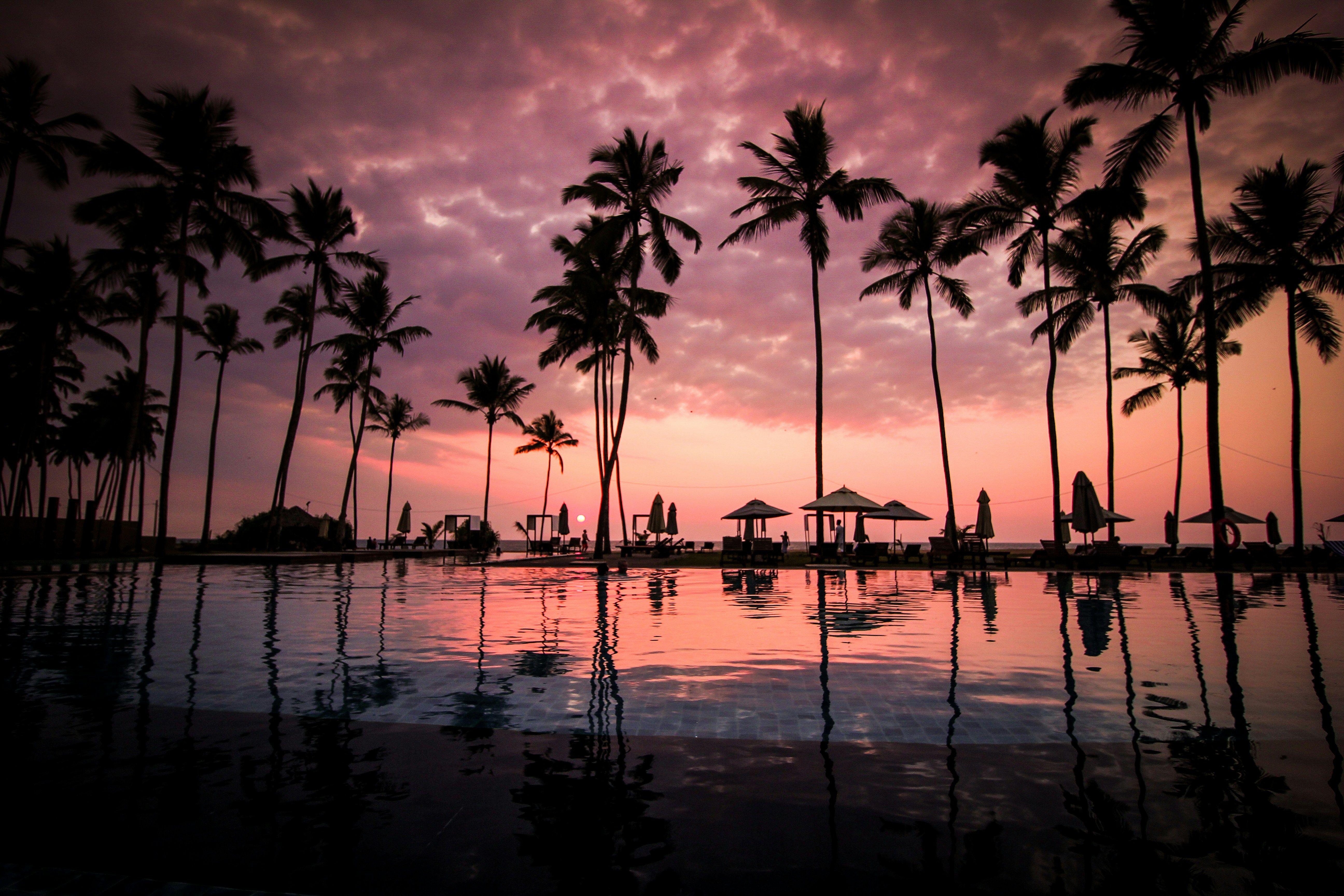 In the realm of gambling, it's challenging to dispute the primary principle: tourist hotspots should offer opportunities for games of chance. Numerous vacationers pick their travel destinations based on gaming entertainment areas.