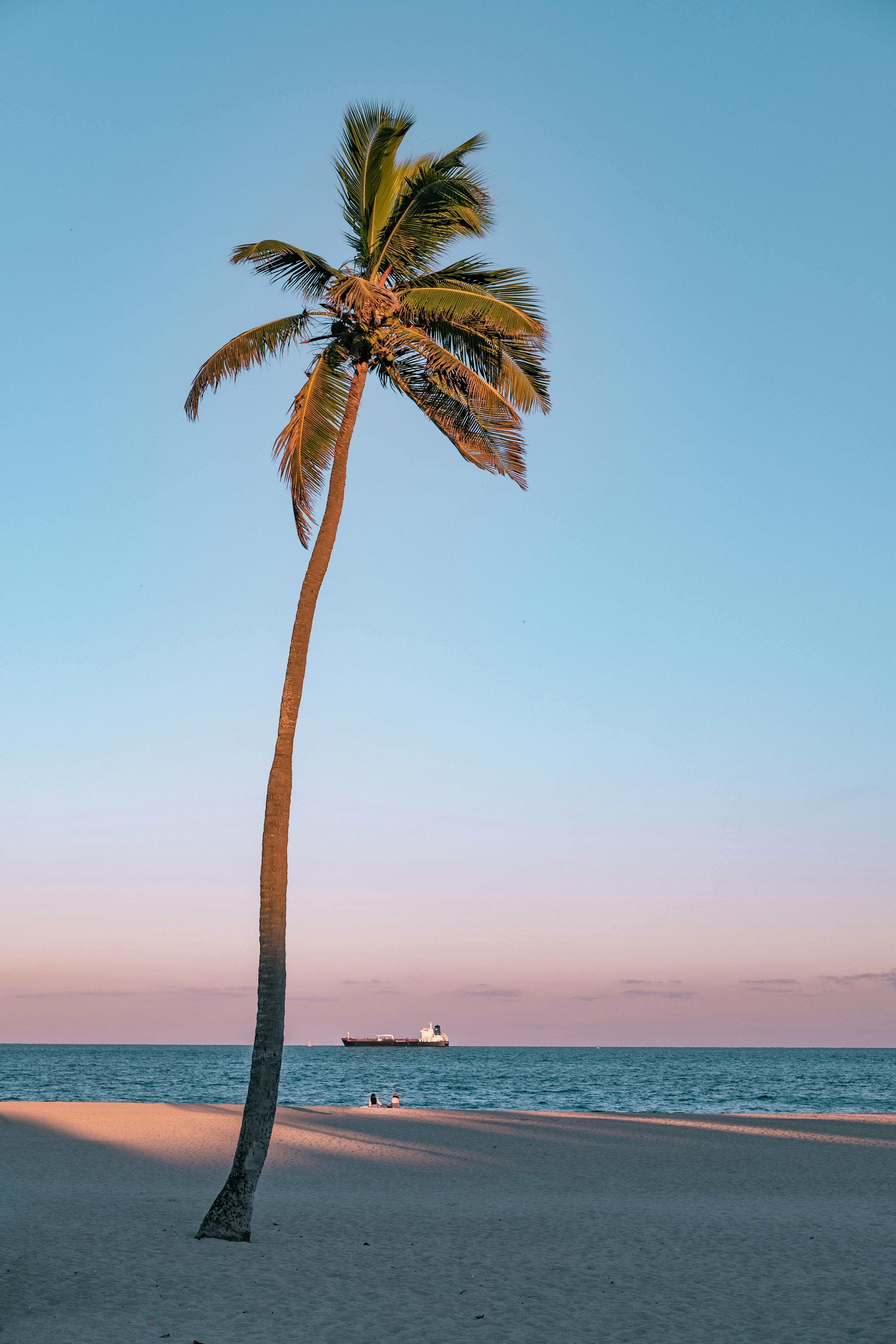 Person under arrest for alleged hacking of government database, revealing confidential documents Unsecured Online Casinos Pose Risks: Delays and Transaction Failures may Result from Lacking Reliable Payment Options.